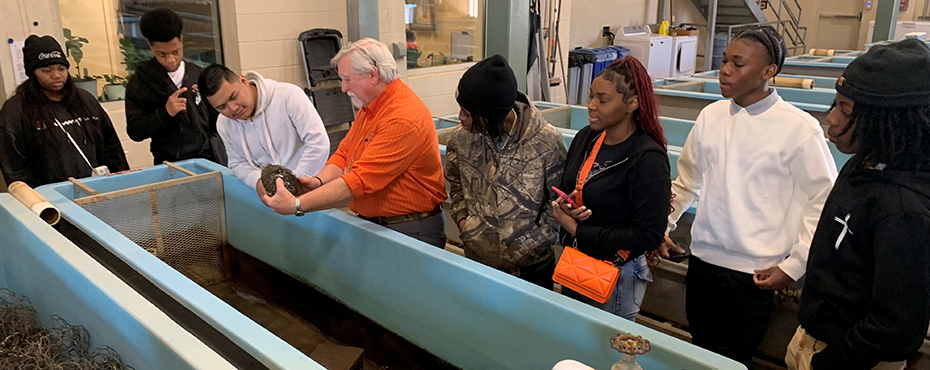 A male teacher holds a turtle over a large fish tank to present to students observing