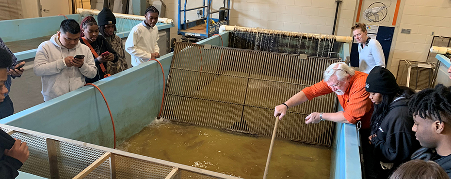 A male teacher scoops a fish out of a large tank to show students observing traits of a particular fish species