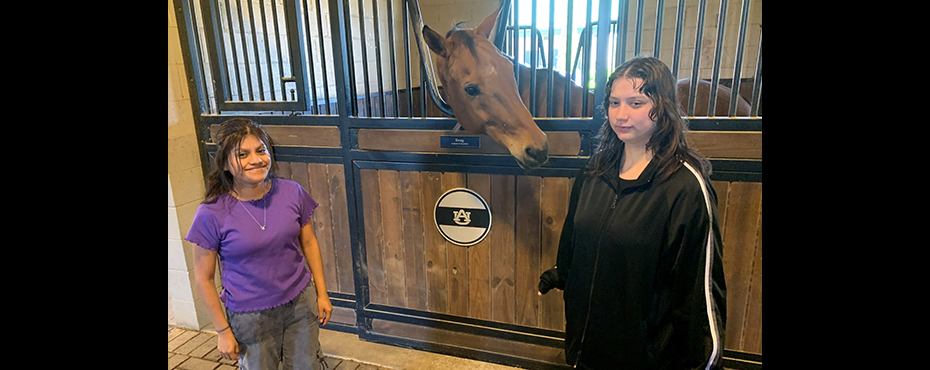 2 female students stand with a bay horse for a picture