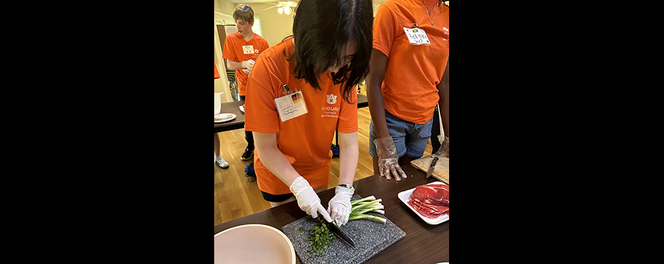 Girl cutting onions