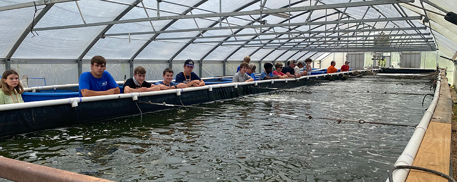 Students observing tank of water